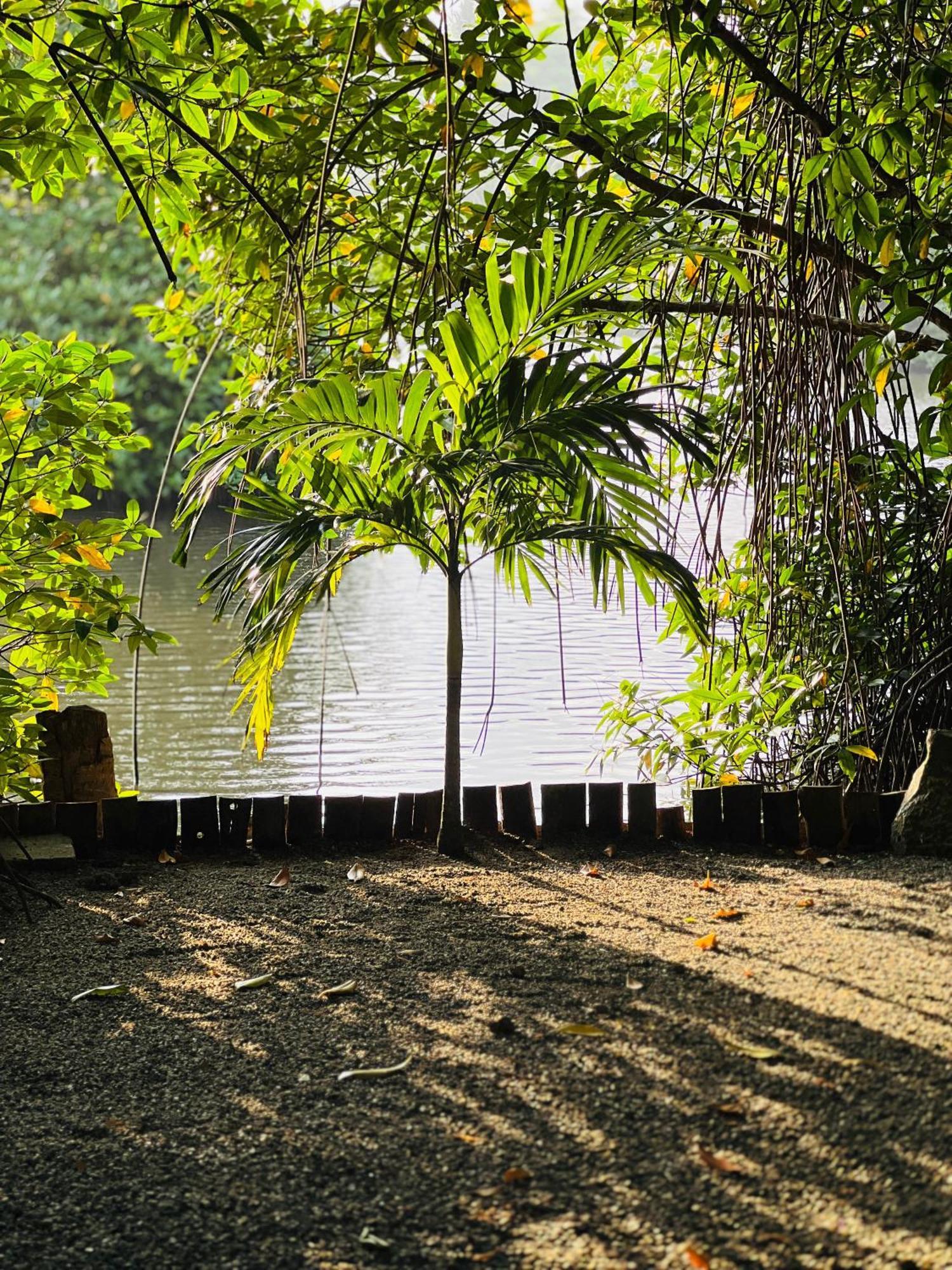 Water'S Edge Villa Ahangama Bagian luar foto